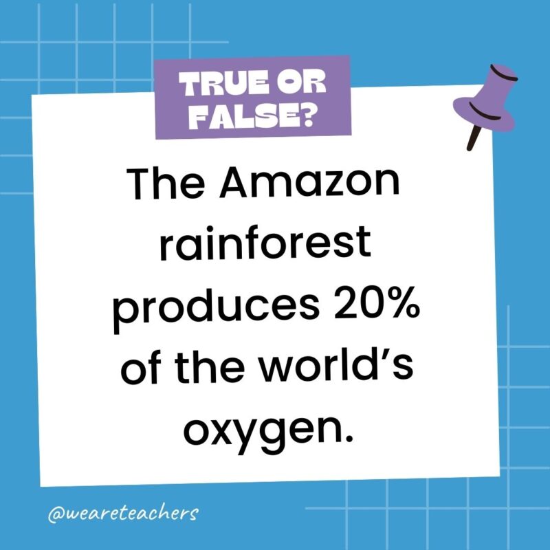 The Amazon rainforest produces 20% of the world’s oxygen. The Amazon rainforest produces 20% of the world’s oxygen.