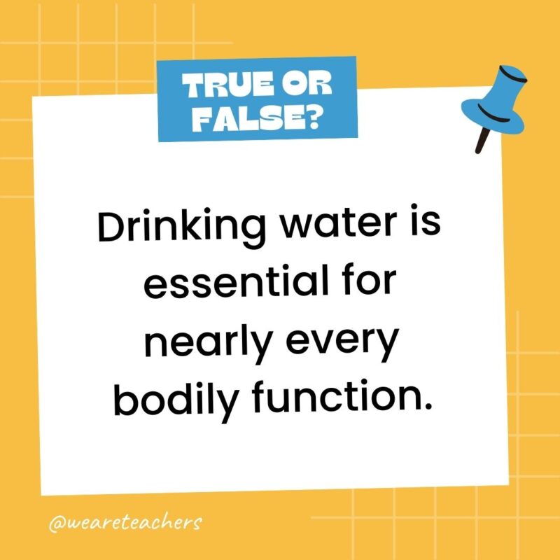 Drinking water is essential for nearly every bodily function. Drinking water is essential for nearly every bodily function.