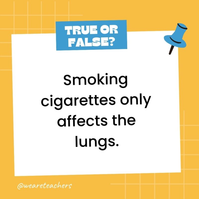 96. True or False: Smoking cigarettes only affects the lungs. 96. True or False: Smoking cigarettes only affects the lungs.