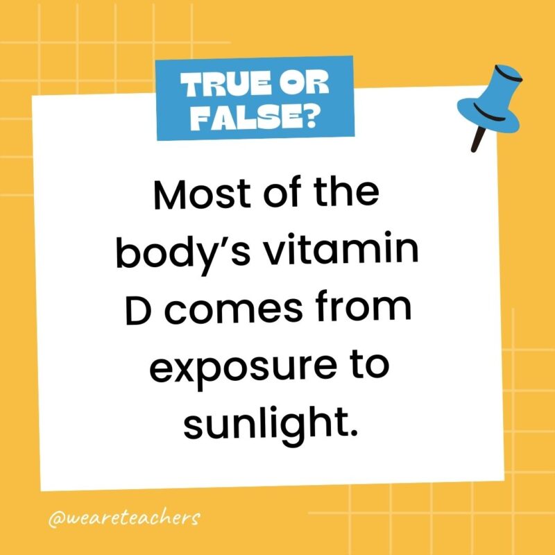 Most of the body’s vitamin D comes from exposure to sunlight. Most of the body’s vitamin D comes from exposure to sunlight.
