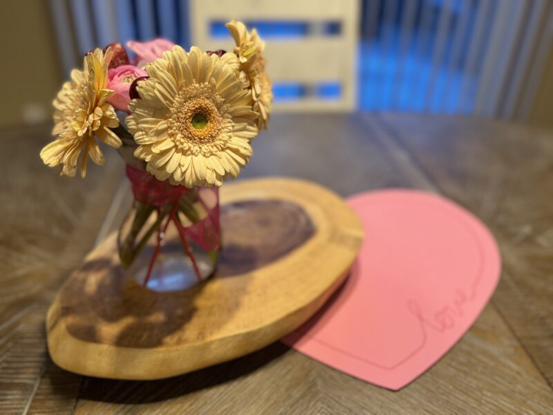 an image of a first grade science experiment: flowers