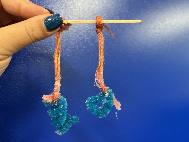 an image of a first grade science experiment: crystals