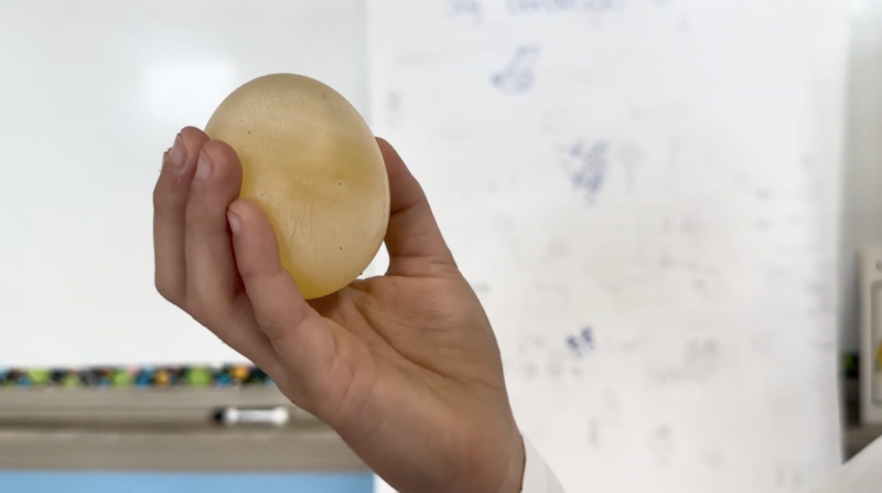an image of a first grade science experiment: naked egg