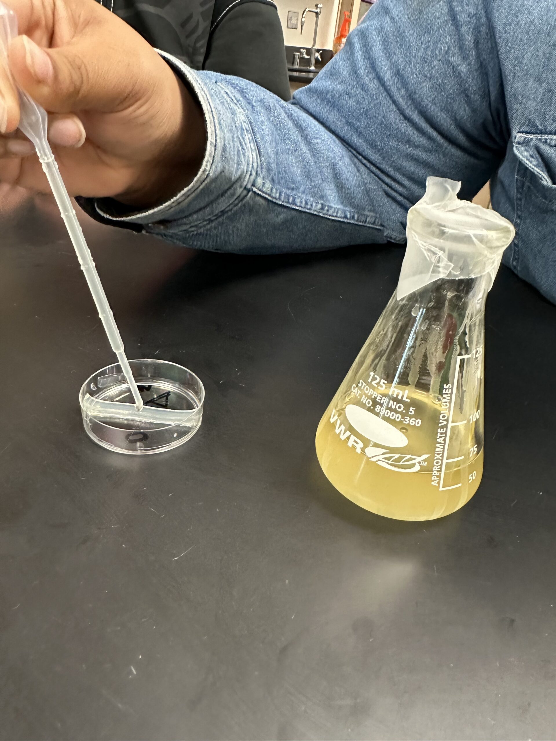 Why This Hands-On Biology Kit is a Must-Try for Teaching Complex Science Concepts Image of the Bio-Rad BacTalk Cell Signaling Kit experiment