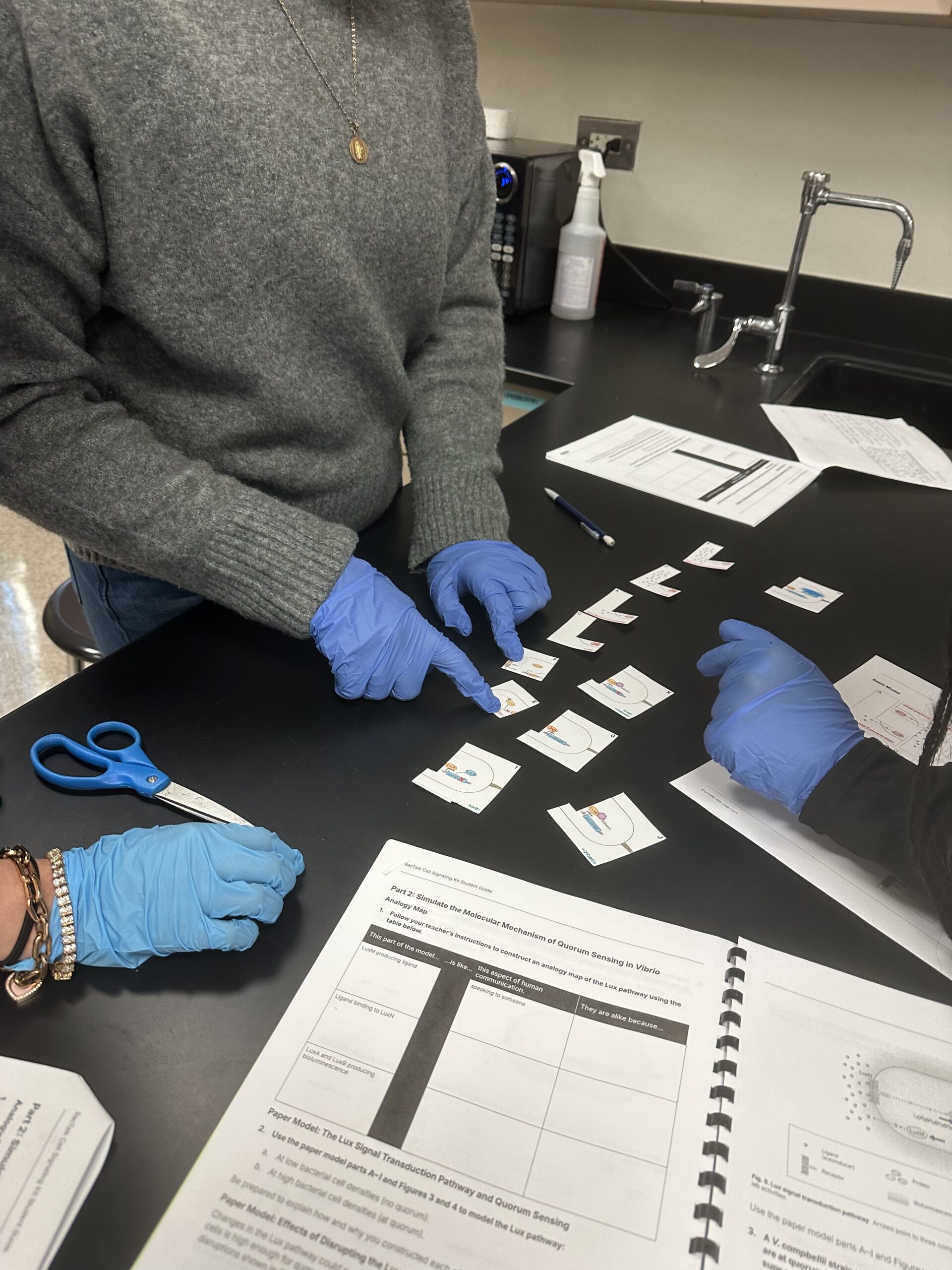Why This Hands-On Biology Kit is a Must-Try for Teaching Complex Science Concepts Image of students working on the Bio-Rad BacTalk Cell Signaling Kit
