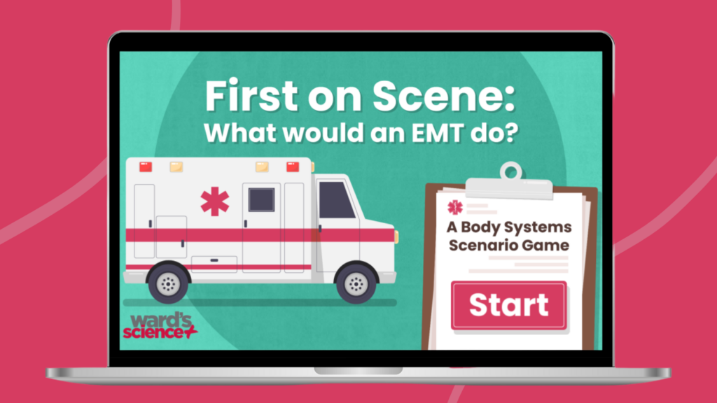 Image of the First on Scene EMT training game