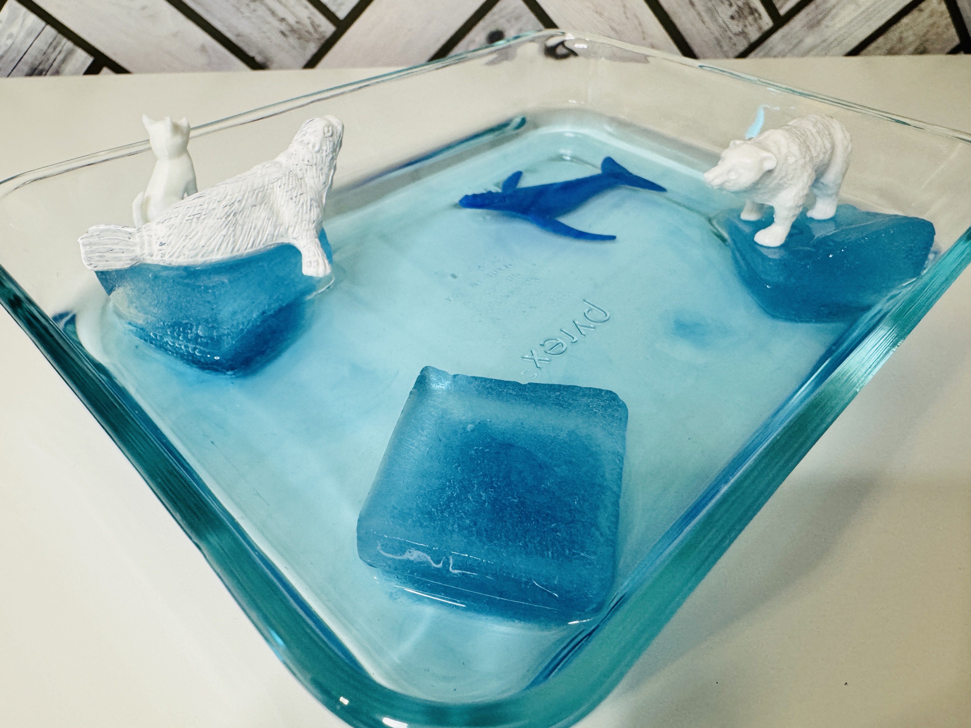 an image of four ice cubes with model animals showcasing animal habitats and how they're different