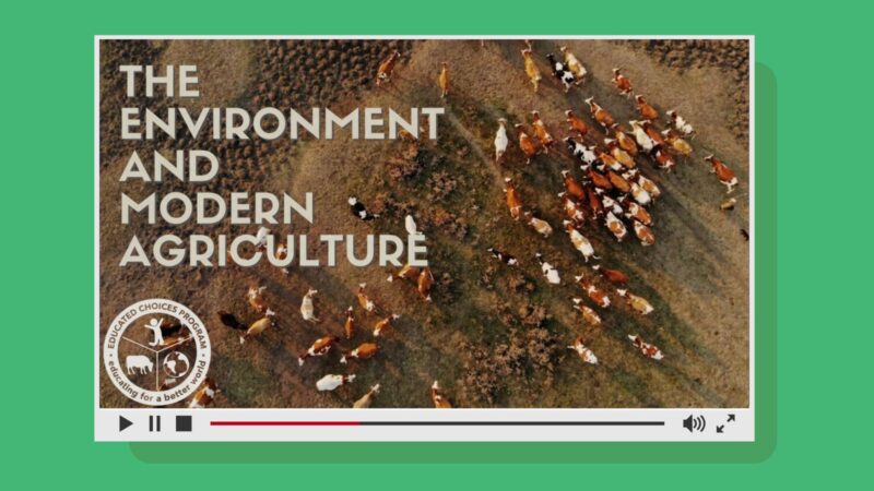 the environment and modern agriculture