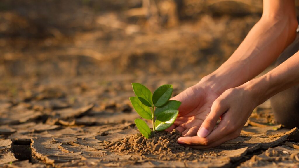 climate education
