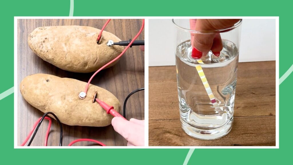 an image of two 8th grade science fair projects