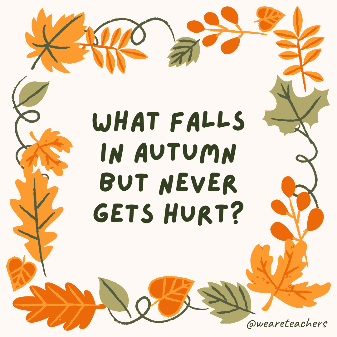 Fall Jokes an image of a fall joke surrounded by fall leaves and vines